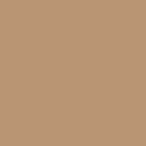 Columbia Men Brown Omni-Shade PFG Uncharted Short